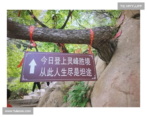 神仙道35闯关指南:秘诀大揭秘,轻松登顶 神仙道35闯关指南:秘诀大揭秘,轻松登顶