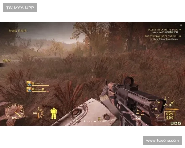 辐射76:武器装配件全攻略 辐射76:武器装配件全攻略