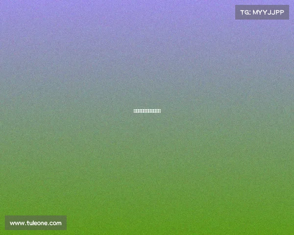 电子竞技的领队是干嘛的